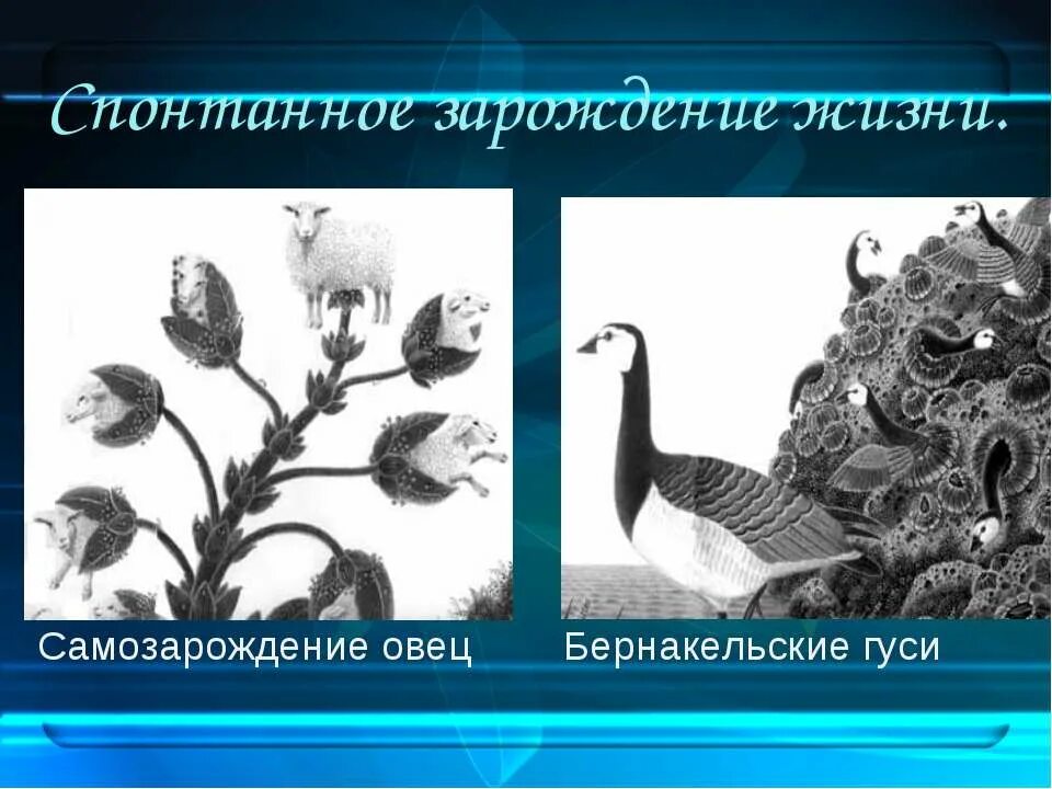 Гипотеза живое из неживого. Теория самозарождения. Самопроизвольное Зарождение жизни. Теория самопроизвольного зарождения. Гипотеза самопроизвольного зарождения жизни.