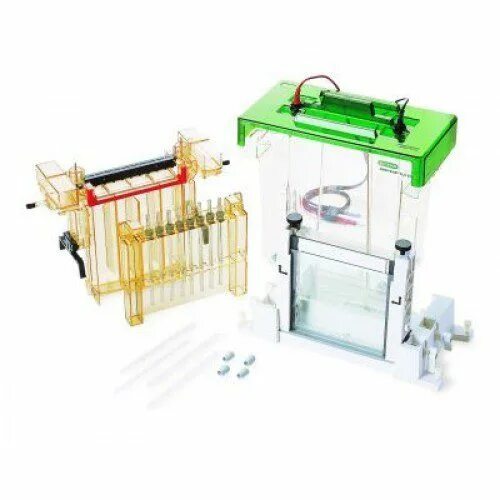 Cell 18. Электрофорез bio rad. электрофоретическая ячейка protean ii xi 2-d cell. камера для вертикального электрофореза протеан. камера для электрофореза protean tetra.