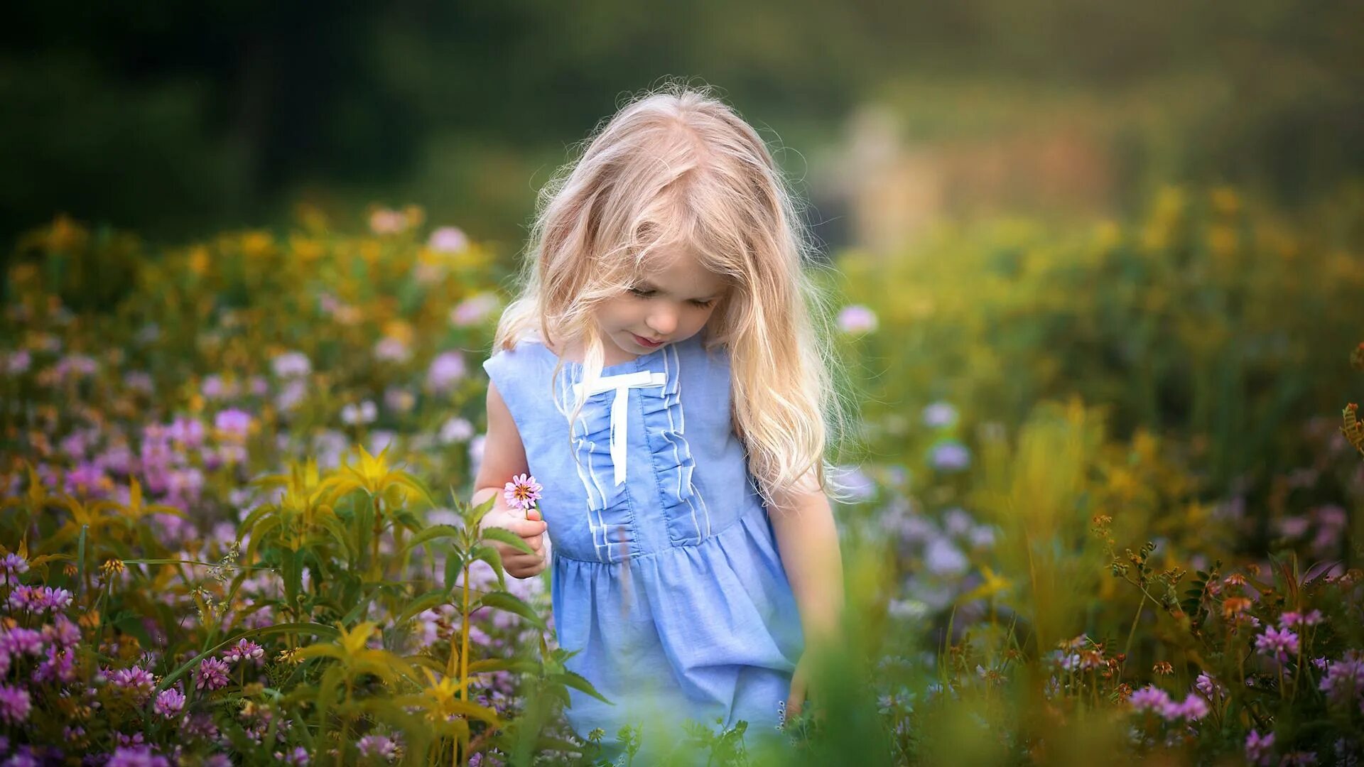 Видео где маленькие девочки. Дети и природа. Девочка на лугу. Милая маленькая девочка. Красивые дети природа.