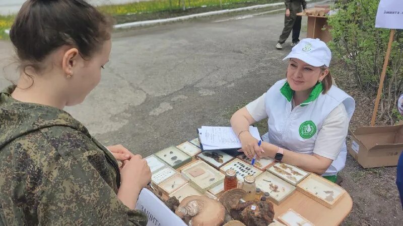 невинномысский индустриальный колледж. вяземские вести газета последний выпуск. военные сборы студентов. день работника культуры мероприятия в библиотеке. совет ветеранов пыть-яха 35 лет.