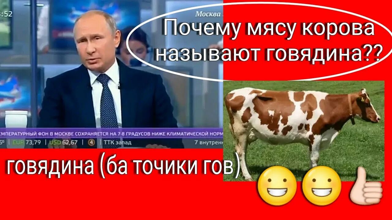 Почему говядину называют говядиной а не коровятиной. Почему корову называют говядиной. почему мясо коровы называют говядиной. почему говядина называется говядиной. почему коровье мясо называют говядиной.