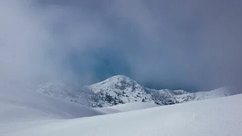 Winter gallery