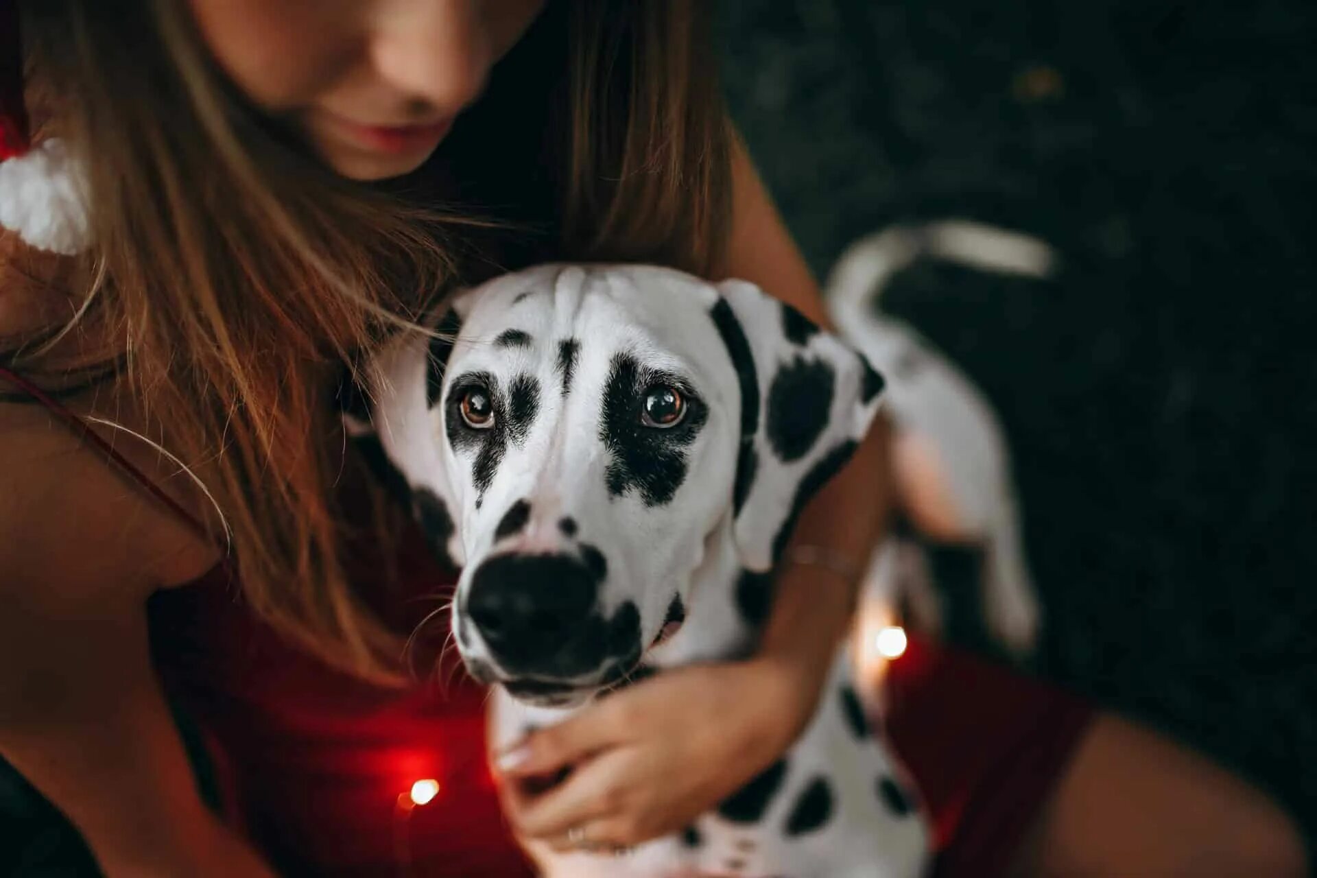 Dog has woman. Девушка с далматинцем. Девушка с собакой. Собаки для девушек большие. Девушка на сабе.