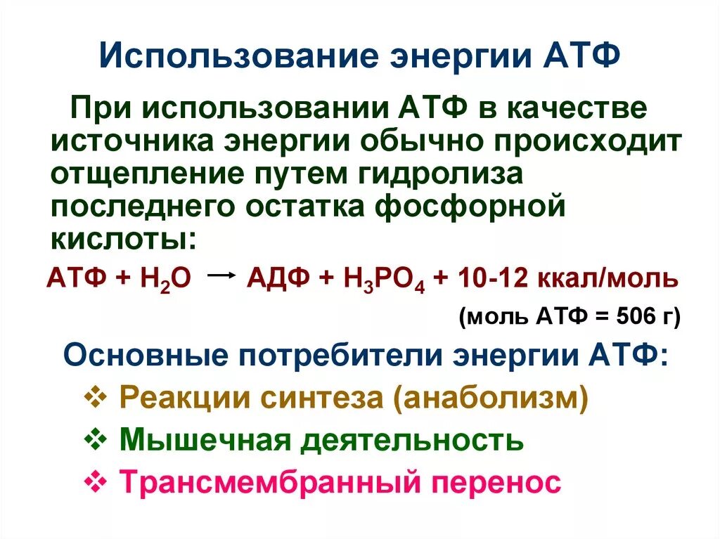 Необходима для синтеза атф. Пути использования АТФ. Энергия АТФ. АТФ источник энергии. Назовите пути использования АТФ В организме..