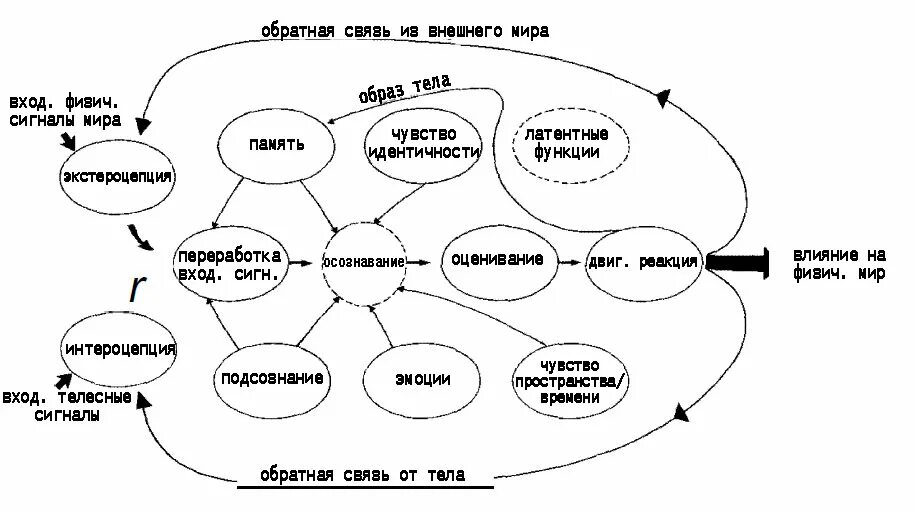 Измененное состояние сознания схема. Карта состояний. Методы осознавания схемы тела. Состояния сознания в психологии.