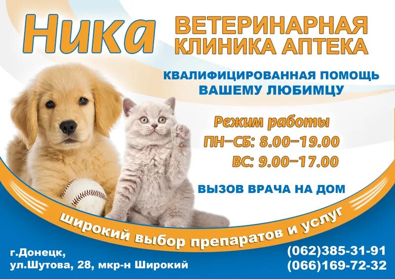 ветклиника в волхове надежда. любимчик новотроицк веткабинет. терапия животных. клиника для животных. рыжий кот рошаль веткабинет.