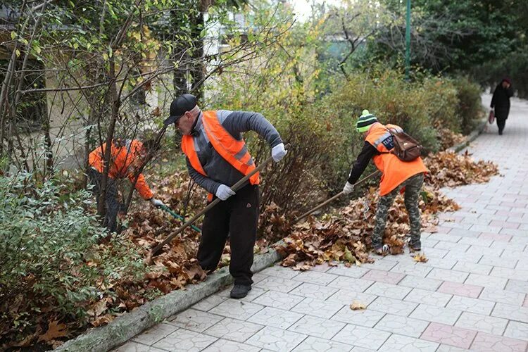 Вывезти листву