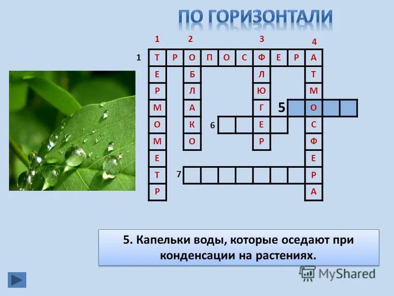 Кроссворд атмосфера 15 слов