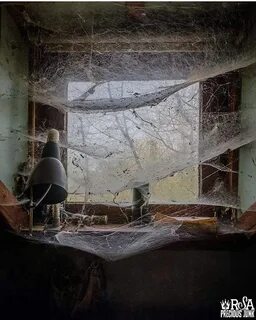 i?id=b746414457823a4e11d2cf0a045f3748c72520a1-12475925-images-thumbs&n=13