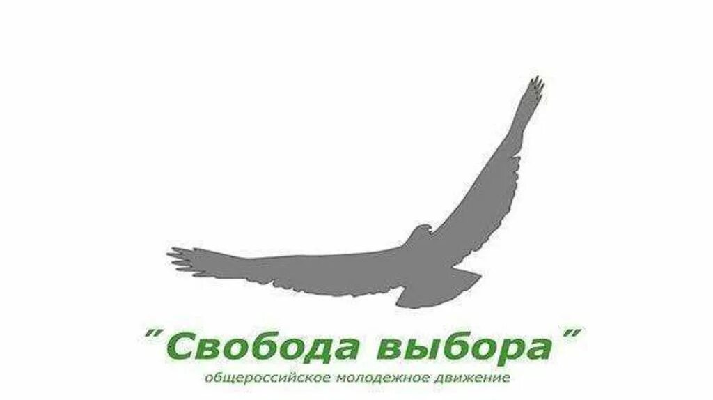 Свобода выбора рисунок. Свобода молодежь. Свобода выбирать. Пора молодежное движение.