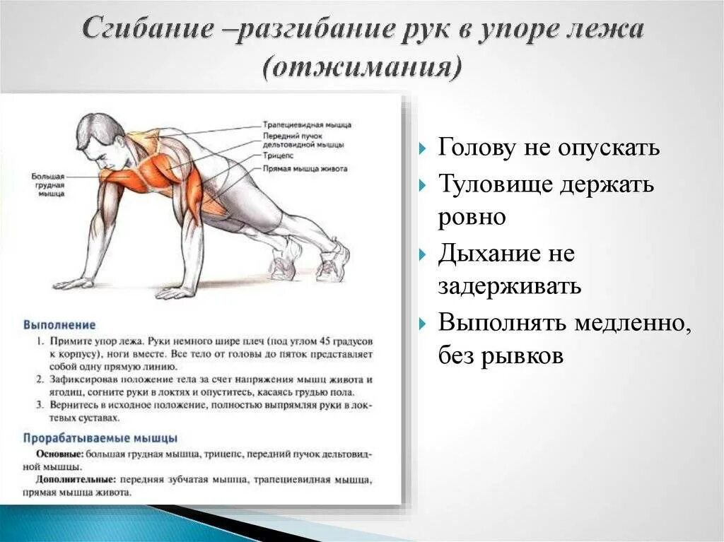 Правила отжиманий. Отжимание в упоре лежа. Сгибание и разгибание рук в упоре лежа. Сгибание и разгибание рук в упоре лёжа (отжимание). Мышцы которые задействованы при отжиманиях.