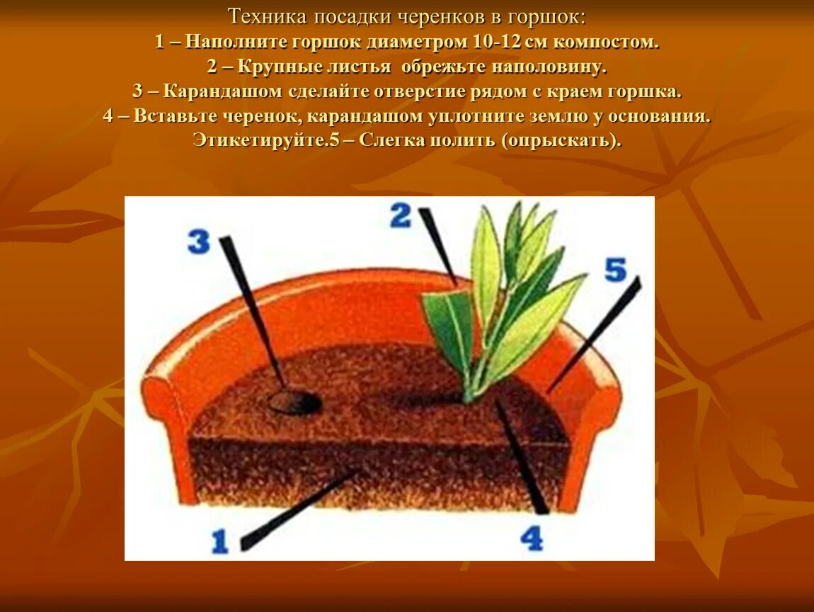 Посадить на число. Посадить на число