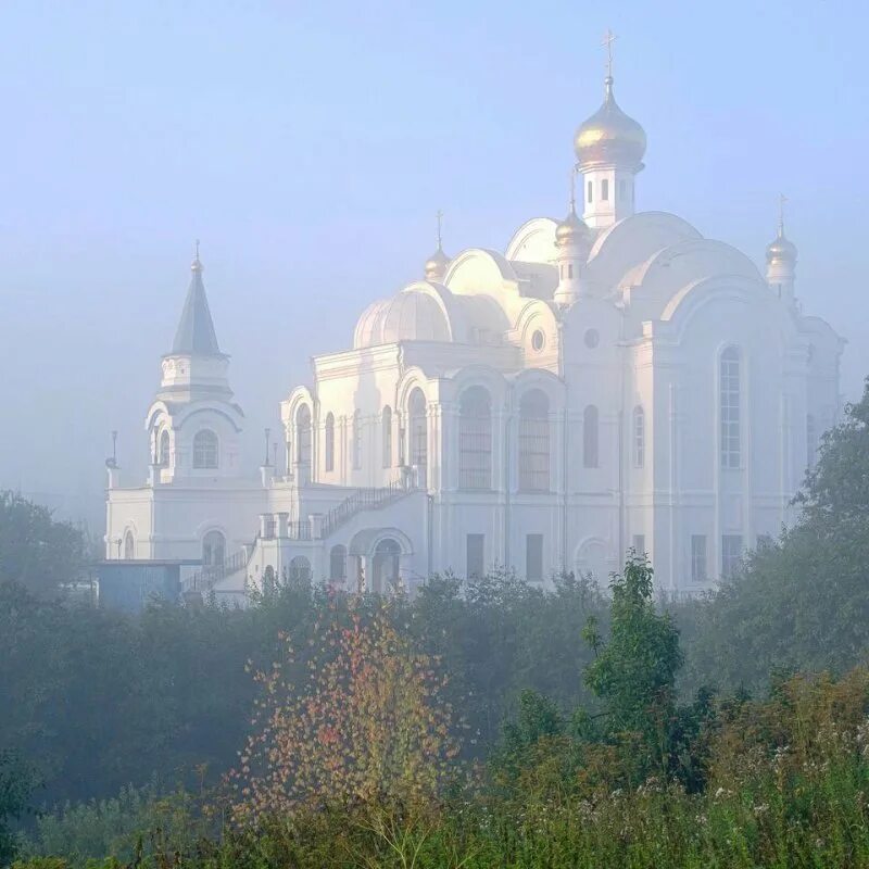 В каком городе была белая