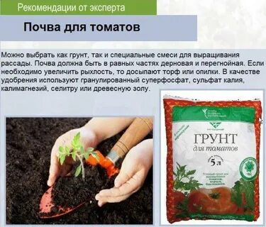 Лучшая земля для рассады помидоров