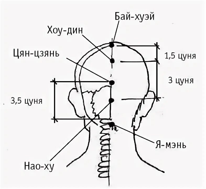 Точка на макушке головы бай Хуэй. Vg20 точка акупунктуры. Бай-Хуэй расположение точка. Затылок темя. Племя путь темя
