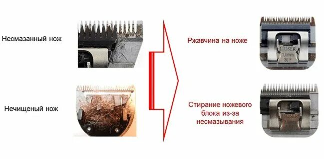 Машинка закрытый нож. Открытый нож на машинке для стрижки. Открытые и закрытые ножи на машинке. Открытый и закрытый нож на машинке. Закрытый нож в машинке для стрижки.