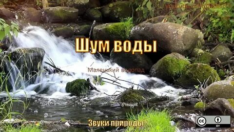 Услышал журчание