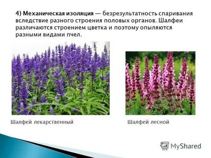 Механическая изоляция