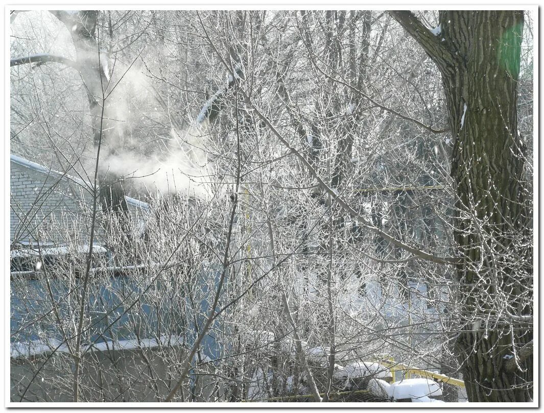 Наутро выпал снег поэтому волга стала. Растает ли снег выпавший сегодня в москве. 02. Наутро выпал снег поэтому волга стала. Москва 2022 16.