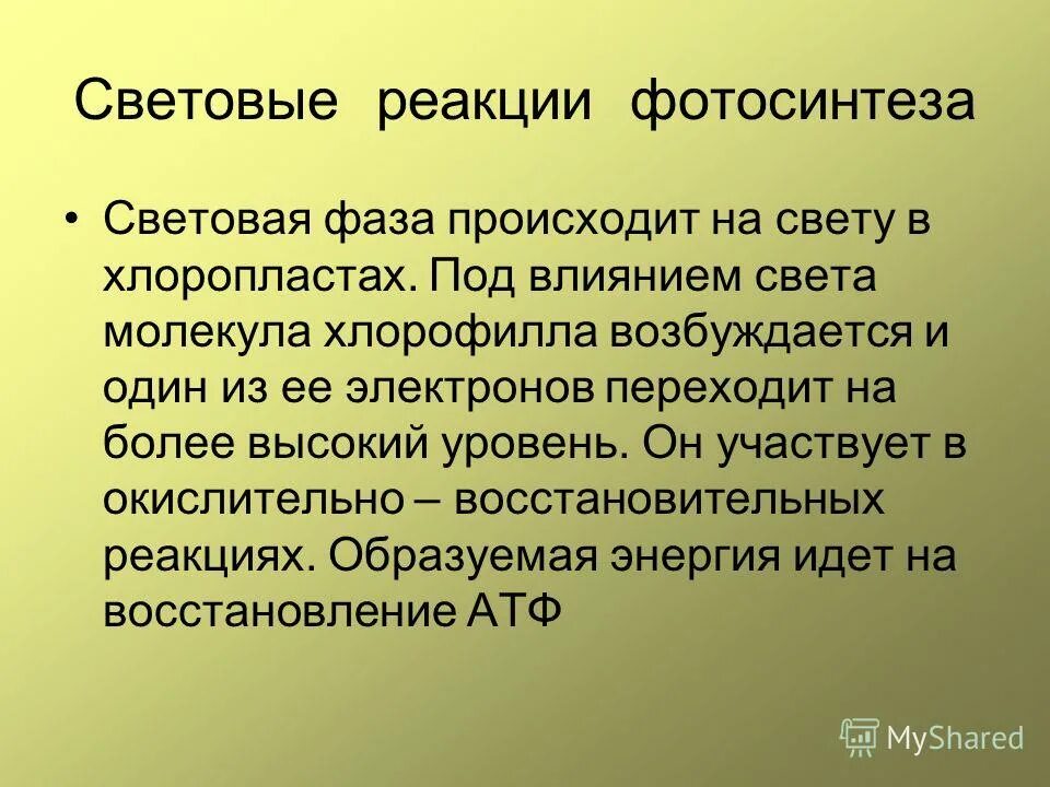 фотохимические реакции фотосинтеза. фотохимические реакции презентация. химические реакции фотохимические примеры. химическое действие света. реакции под действием света.