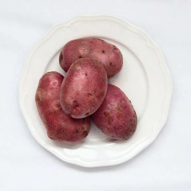 Беллароза вкусовые качества. Картофель семенной беллароза. Картофель семенной амур. Сорт беллароза. Сорт картофеля беллароза.