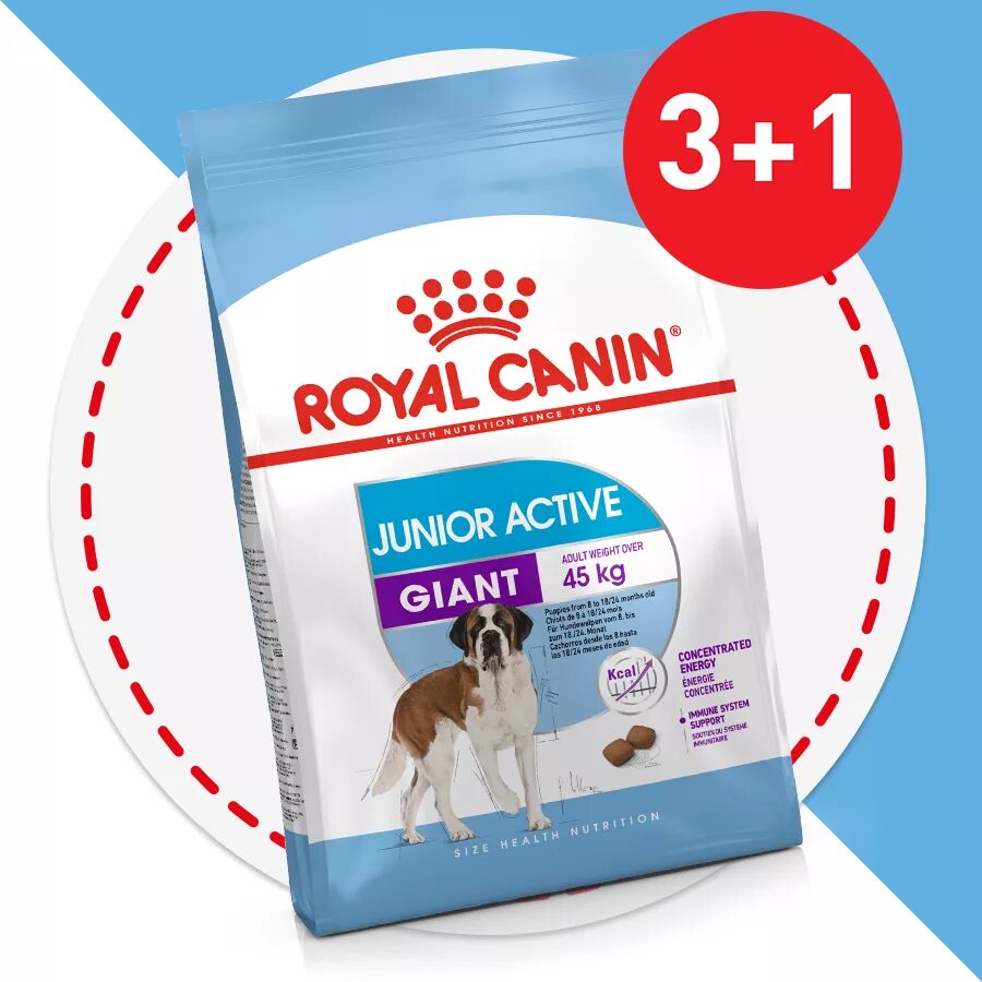 8 кг) natural puppy&junior small&toy chicken dry. Сухой корм для щенков royal canin junior x - small, птица, 3кг. Royal canin x-small junior корм для щенков карликовых пород 500 гр для шпица. Royal canin x-small puppy. Корм для белых собак гипоаллергенный.