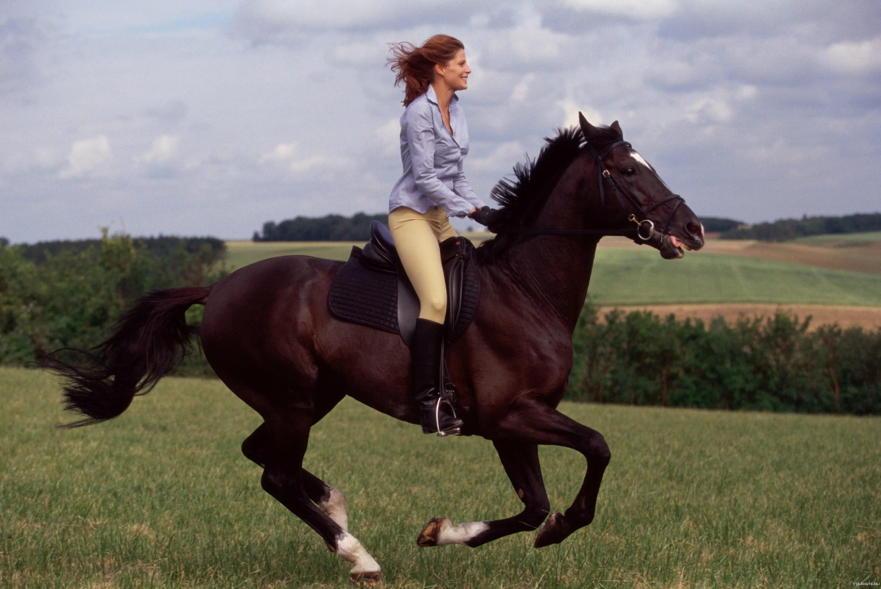 Эрин Уильямс конный. Эрин Уильямс конный спорт. Галоп Аллюр лошади. Девушка катается на лошади. Riding sister