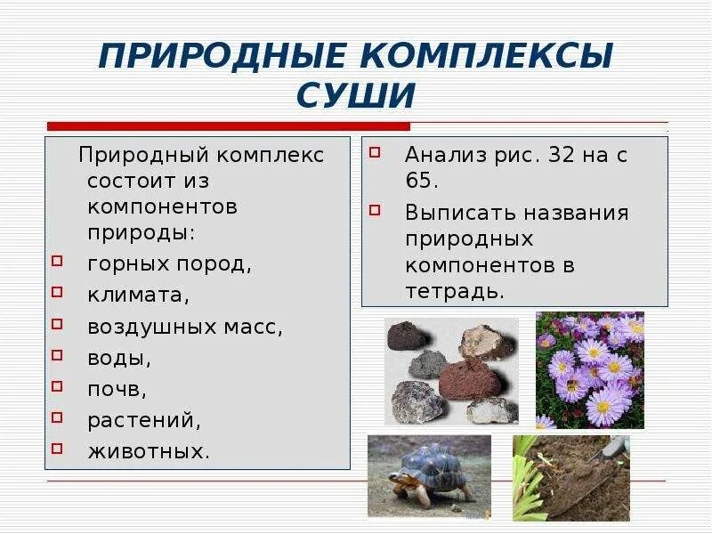 Растительность один из важнейших компонентов природы. Взаимосвязь элементов природы. Назовите природный компонент. Назовите природный компонент. Схема природного комплекса.