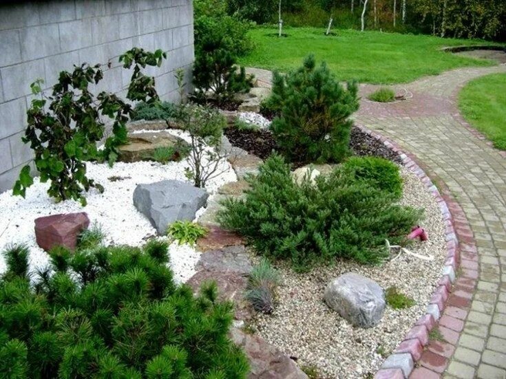 Pin on Alpine and Rock Gardening
