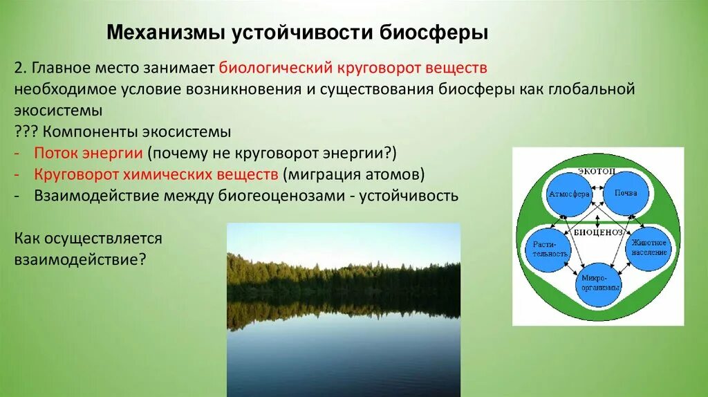 Природная основа организма. Механизмы устойчивости биосферы. Устойчивость экосистем и биосферы.. Основа устойчивого развития биосферы. Основное условия устойчивого развития биосферы.