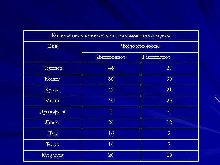 Количество хромосом. Хромосомы разных видов. Таблица хромосом у различных видов. Число хромосом у животных и растений.