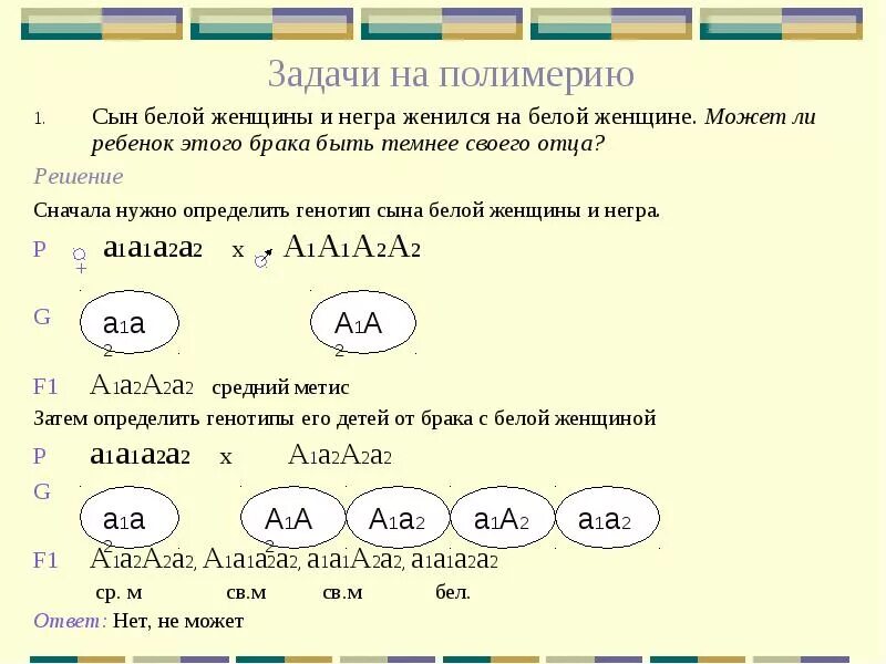 Полимерия задачи по генетике. Задачи на цвет кожи генетика. Наследование цвета кожи задача. Решение генетических задач на полимерию.