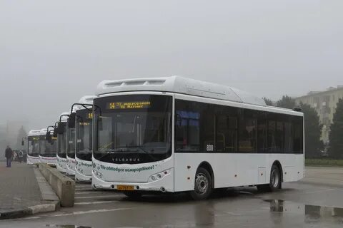 Автобус 800 москва