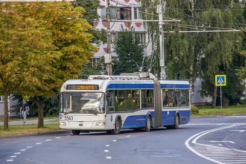 33 троллейбус минск