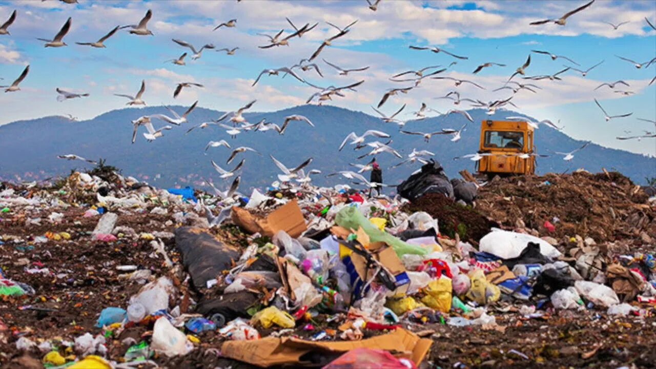 Out of dump. Out of dump