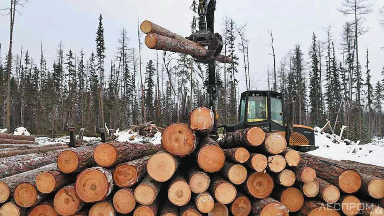 Лесозаготовка Богучанский район. Заготовка древесины. Заготовка леса. Лесозаготовка Деревообработка. Лесозаготовка страны