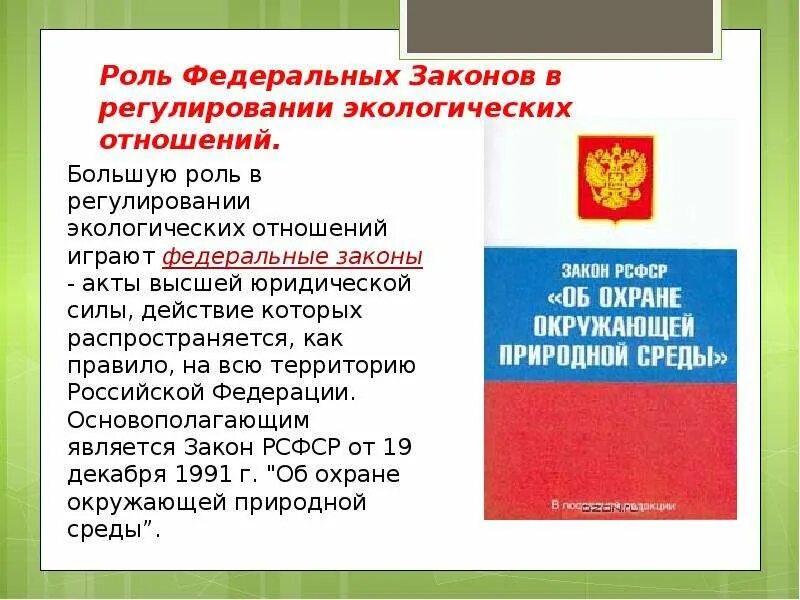 Роль судебной практики в регулировании экологических отношений. Роль федеральных законов. Законы регулирующие экологические отношения. Роль судебной практики в экологическом праве. Конституция рф регламентирует