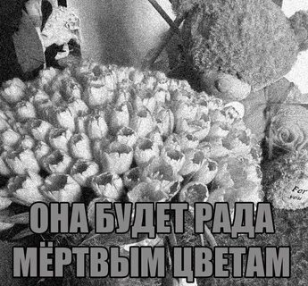 Погубить цветы