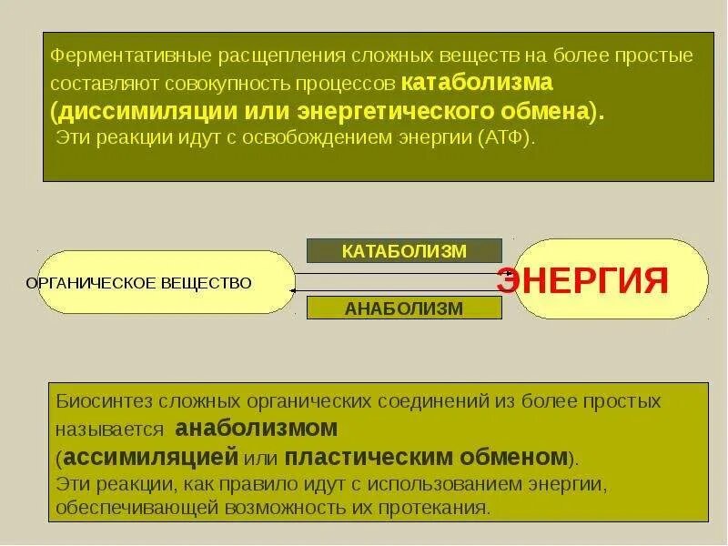 Процесс в ходе которого происходит органических веществ. Расщепление сложных веществ на более простые. сложные органические вещества расщепляются на более простые в. процесс расщепления органических веществ. расщепление сложных органических веществ.