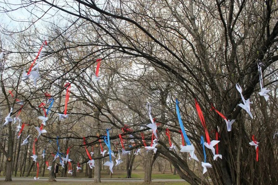 9 мая дерево. Дерево 9 мая. Украшение деревьев в городе. Украшение на 9 мая на деревья. День Победы дерево.