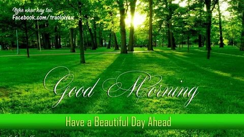 Beautiful day am