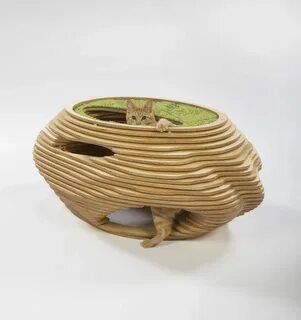 Странный дом кота
