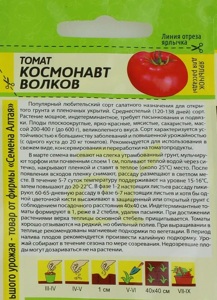 Томат космонавт волков характеристика и описание фото. Космонавт Волков семена Алтая. Помидоры космонавт Волков. Томат космонавт Волков описание. Томаты новинка космонавт Волков описание сорта.