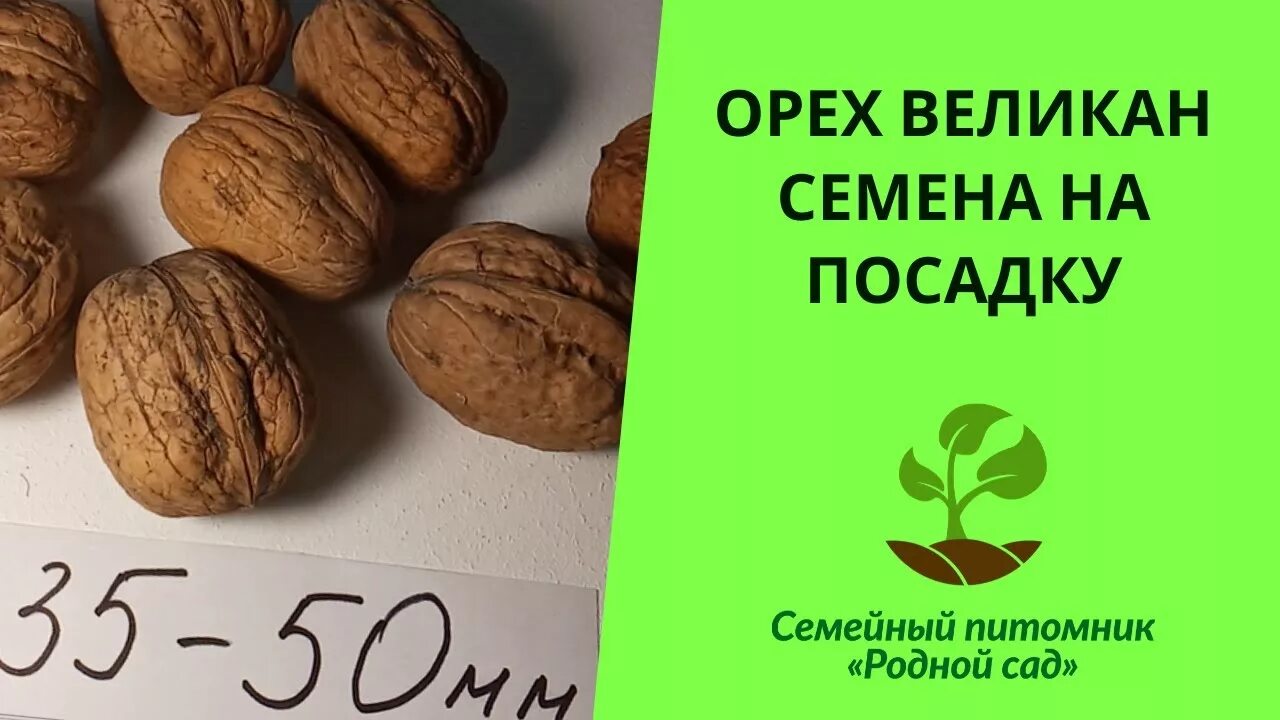 арахис жареный Сбор до 18.09. Орехи, сухофрукты, семечки - природные витамины сп