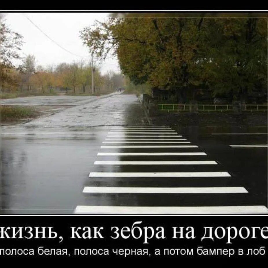 Все дорого как жить