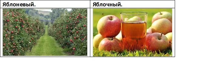 Памятный пароним. Пароним яблоневый. Пароним яблоневый. Пароним яблоневый. Средстватвыразительности.