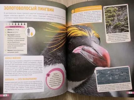 Пингвин красная книга