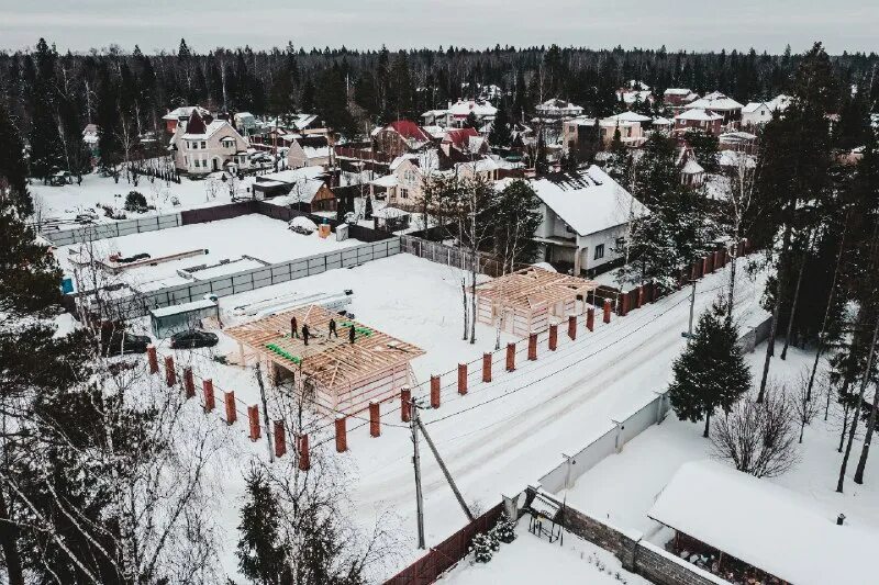 Зеленая роща московская