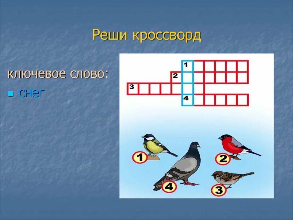 Кроссворд про птиц для детей. Кроссворд зимующие птицы. Зимующие птицы кроссворд для детей. Кроссворды о птицах для детей школьного возраста. Сугроб сканворд