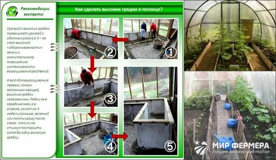 Схема расположения грядок в теплице 3х6 Размеры грядок в теплице 3х6, 3х4, 2.4х4 из поликарбоната и не только Теплица, О